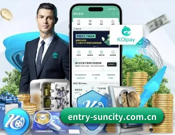 太阳城 APP 深度功能