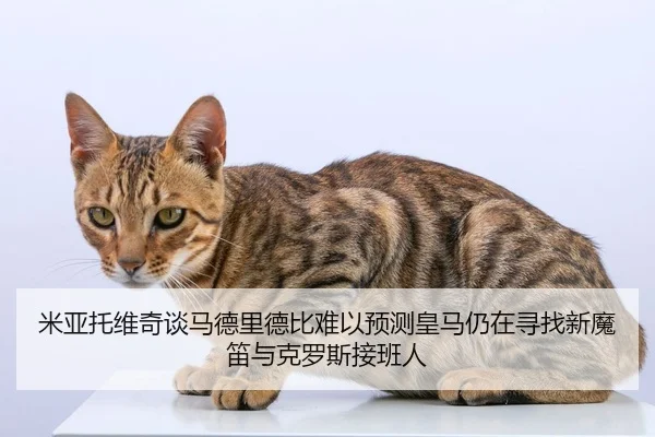 米亚托维奇谈马德里德比难以预测皇马仍在寻找新魔笛与克罗斯接班人